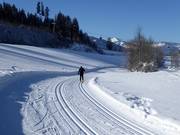 Piste de ski de fond dans la vallée de Brixen