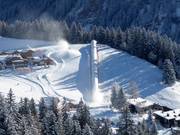 Tapis Frience - Tapis roulant recouvert d’une galerie