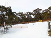Zone d'entraînement The Magic Forest à la Bourke Street