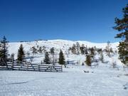 Vue depuis les Front Slopes vers le sommet Levi
