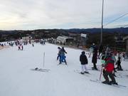 Piste d'entraînement au Bourke Street Carpet