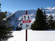 Zone de tranquillité pour la faune