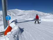 Piste facile Kircherlhang