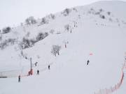 Coq de Bruyères - Téléski