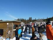 Moment convivial au kiosque