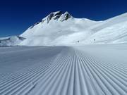 Des traces fraîches dans la neige