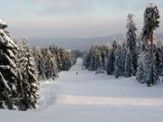 Descente nord Ochsenkopf