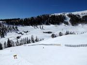 Pistes entre Grosseck et Speiereck