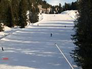 Descentes en forêt enneigées artificiellement