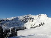 Vue sur les descentes freeride au Grand Chamossaire (Villars)