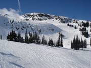 Rochers, couloirs et espace skiable libre