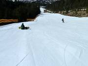 Piste facile au Brandlift