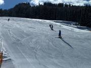 Piste pour débutants au téléski Liebenaulift