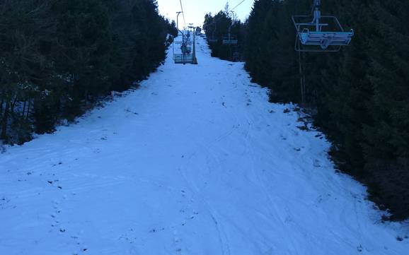 Domaines skiables pour skieurs confirmés et freeriders Bavière du Nord – Skieurs confirmés, freeriders Hohenbogen – Neukirchen bei Hl. Blut