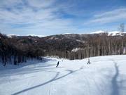 Piste n° 16 Kolašin 1600