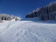 Large piste facile au sommet de l'Almkopf