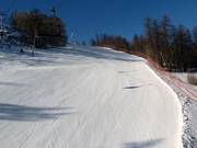 Descente Luc Alphand