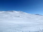 Hotspot freeride Kobåset au Storkittelhobben