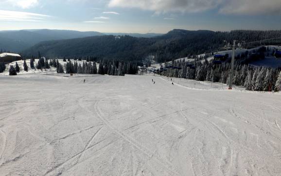 Domaines skiables pour les débutants dans l' arrondissement de Breisgau-Hochschwarzwald – Débutants Feldberg – Seebuck/Grafenmatt/Fahl