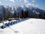 Même pour les débutants absolus, la zone située sous le Mountain Shelter est idéale.