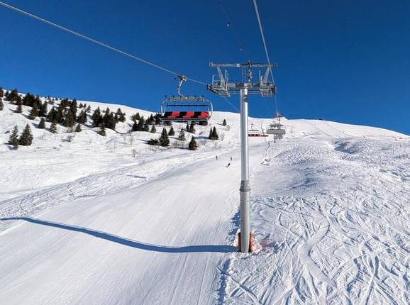 Douce - © Michael Medek - Photo : Michael Medek