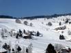 Dreisamtal: Taille des domaines skiables – Taille Schauinsland – Hofsgrund