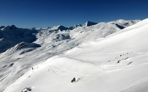Alpes du Platta (Oberhalbsteiner Alpen): Taille des domaines skiables – Taille Savognin