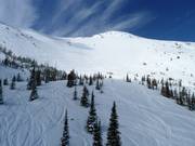 Zone de poudreuse en dessous du Gravenstafel Mountain