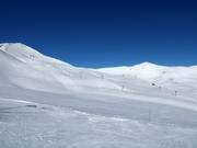 Vue sur les pistes faciles au téléski Glacier