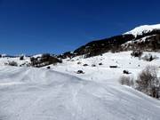 Piste facile Fridriolabfahrt (Ladis)
