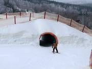 Bon plan pour les enfants : 