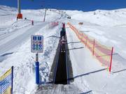 Förderband Gadein - Tapis roulant/Moving Carpet