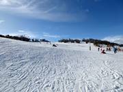 Piste facile Woodrun