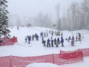 Bon plan pour les enfants : 