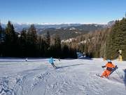 Descente vallée Ochsenweide