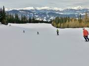 Piste bleue au Märchenlift