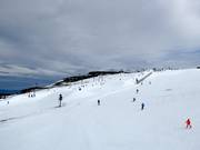 Vue sur le Skyline Park