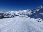 Piste facile Schafbichel