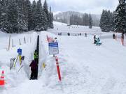 Zone d'entraînement au tapis roulant Porcupine