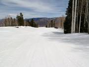 Descente T-Lazy-7-Catwalk