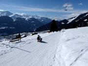 Bon plan pour les enfants :  - Pistes de luge