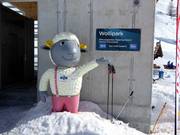 Bon plan pour les enfants :  - Wolli Anfängerpark (espace pour débutants) au Sunnegga