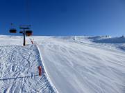 Large piste Zirmes au-dessus de la limite des arbres