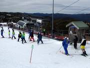 Bourke Street Carpet - Tapis roulant