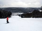 La piste de ski depuis la station supérieure