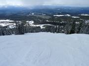 Piste Dragon's Tongue