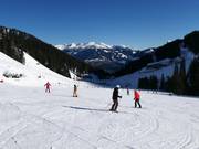 Pistes faciles dans la vallée de Horberg