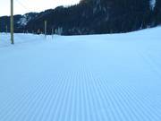 Très bonne préparation des pistes