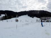Vue depuis le téléski d'entraînement vers le téléski à perche et le Hauchenberg