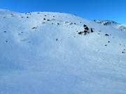 Zone de poudreuse au Knob Chair